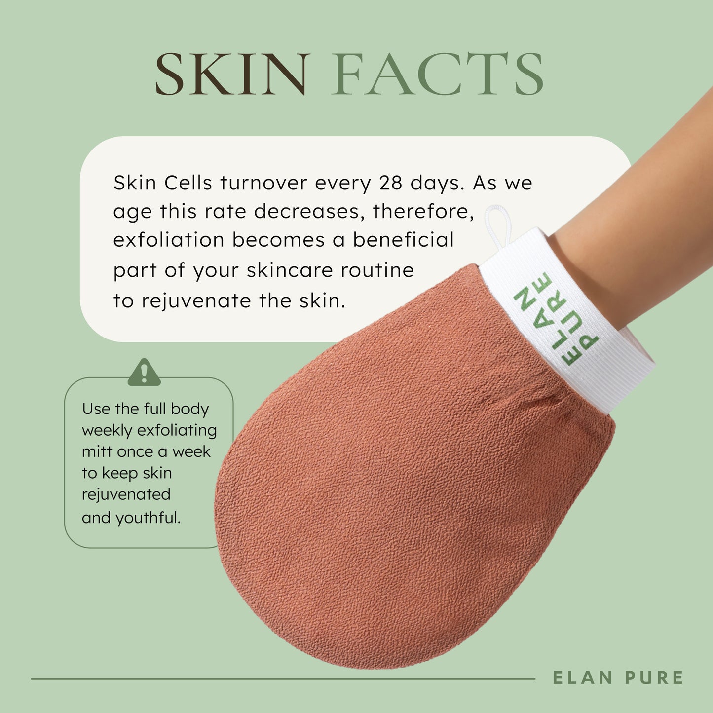 exfoliating mitt showing skin facts