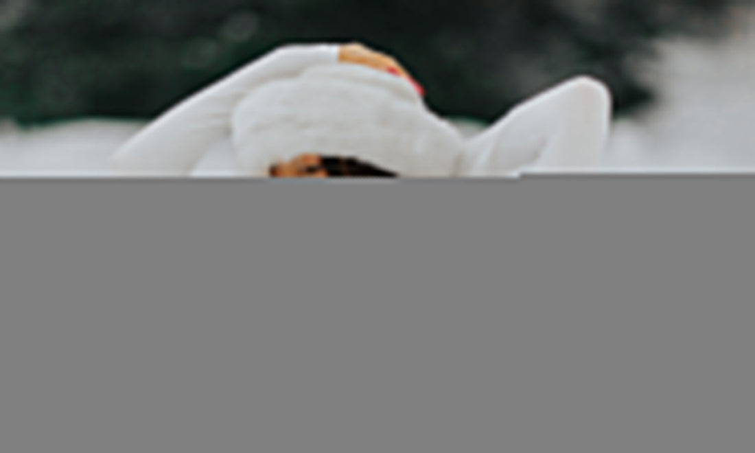 Transform Your Money Mindset with These 5 Powerful Practices