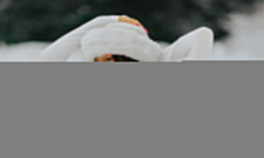 Transform Your Money Mindset with These 5 Powerful Practices